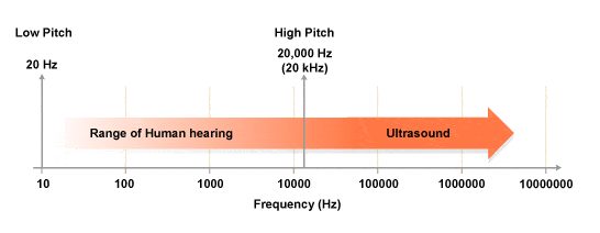 Human Hearing Frequency Range